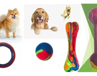 Kit Combo Juguetes De Goma Perros Chicos Mascotas