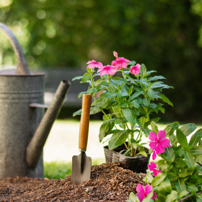 Jardin y Aire Libre